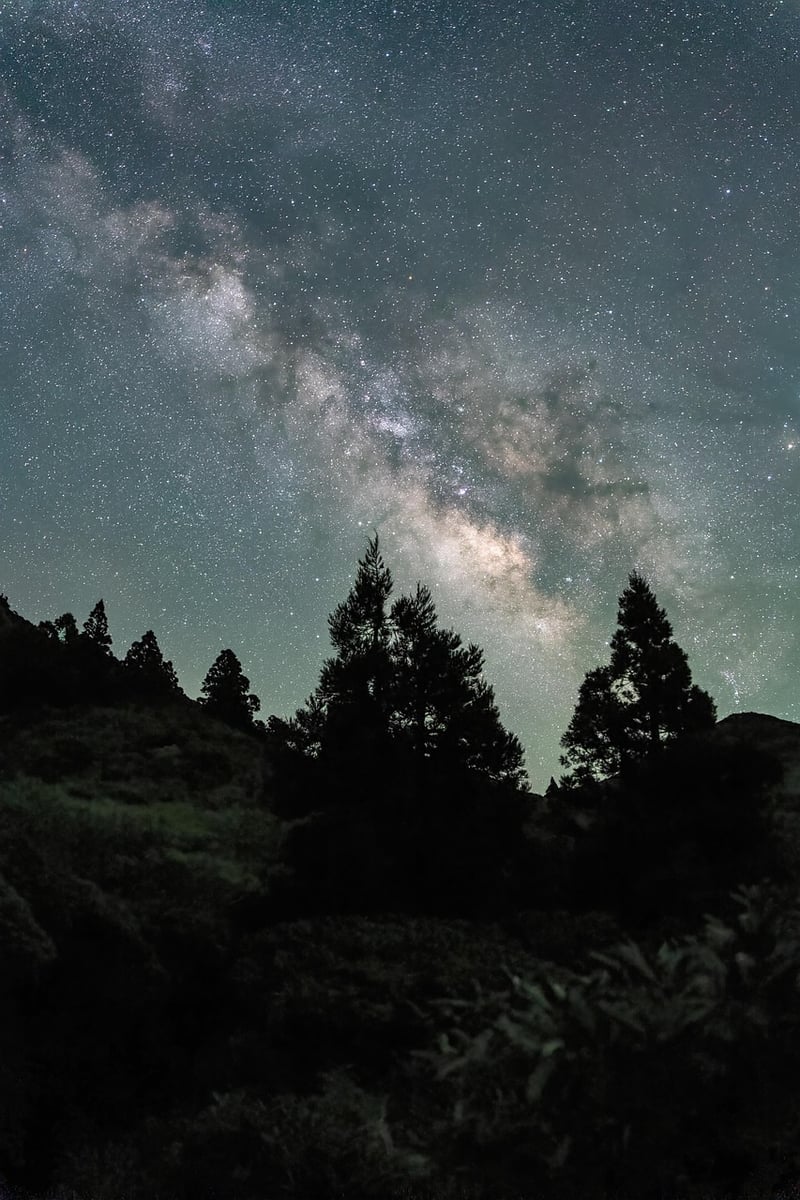 Mindfulness Nature